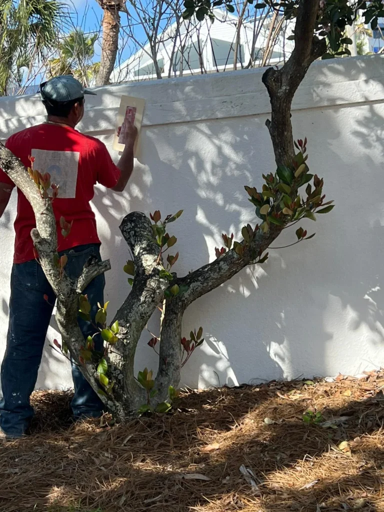 FALCON REMODELING EXPRESS LLC 8